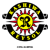 Kashiwa Reysol Fodbold
