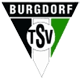TSV Burgdorf Håndbold