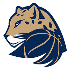 Levhartice Chomutov W Basketball