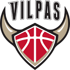Salon Vilpas Basketball