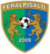 FeralpiSalo Fodbold