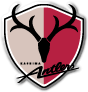 Kashima Antlers Fodbold