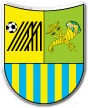 Metalist Kharkiv Fodbold