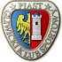 Piast Gliwice Fodbold