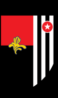RWD Molenbeek Fodbold