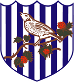 West Bromwich Albion Fodbold