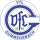 VfL Gummersbach 手球