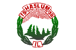 Haslum HK 手球