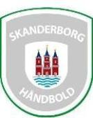 Skanderborg Håndbold