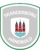 Skanderborg Håndbold