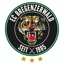 Logo týmu