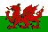  Cymru Premier 投注小技巧